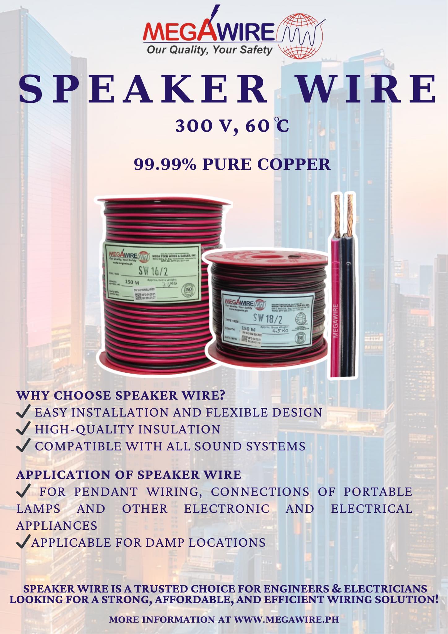 Speaker Wire